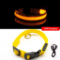 Collar for dogs USB Charging Led Anti-Lost/Avoid Car Accident / Collare per cani illuminato - Pet Shop Luna