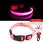 Collar for dogs USB Charging Led Anti-Lost/Avoid Car Accident / Collare per cani illuminato - Pet Shop Luna