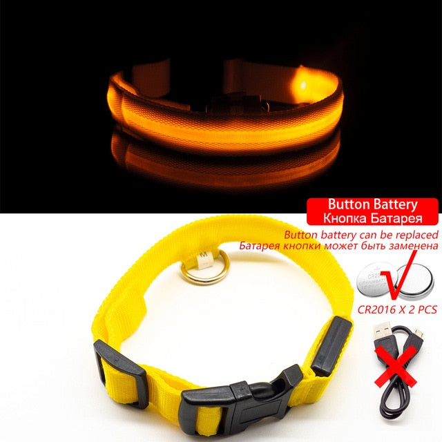 Collar for dogs USB Charging Led Anti-Lost/Avoid Car Accident / Collare per cani illuminato - Pet Shop Luna