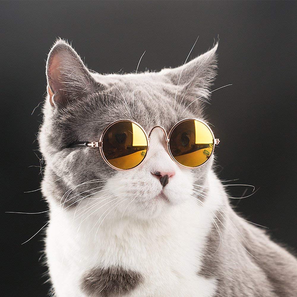 Ultra Cute and Funny Pet Sunglasses Classic Retro Circular Metal Prince Sunglasses for Cats or Small Dogs Fashion Costume - Pet Shop Luna