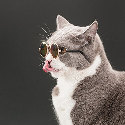 Ultra Cute and Funny Pet Sunglasses Classic Retro Circular Metal Prince Sunglasses for Cats or Small Dogs Fashion Costume - Pet Shop Luna