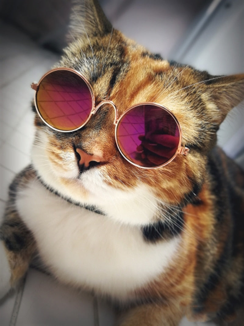 Ultra Cute and Funny Pet Sunglasses Classic Retro Circular Metal Prince Sunglasses for Cats or Small Dogs Fashion Costume - Pet Shop Luna