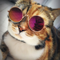 Ultra Cute and Funny Pet Sunglasses Classic Retro Circular Metal Prince Sunglasses for Cats or Small Dogs Fashion Costume - Pet Shop Luna