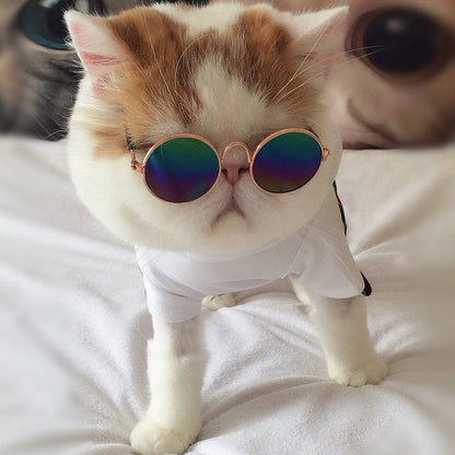 Ultra Cute and Funny Pet Sunglasses Classic Retro Circular Metal Prince Sunglasses for Cats or Small Dogs Fashion Costume - Pet Shop Luna