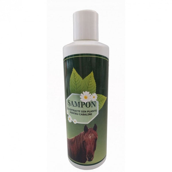 Shampoo agli estratti di erbe Pasteur per cavalli / Horse shampoo - Pet Shop Luna