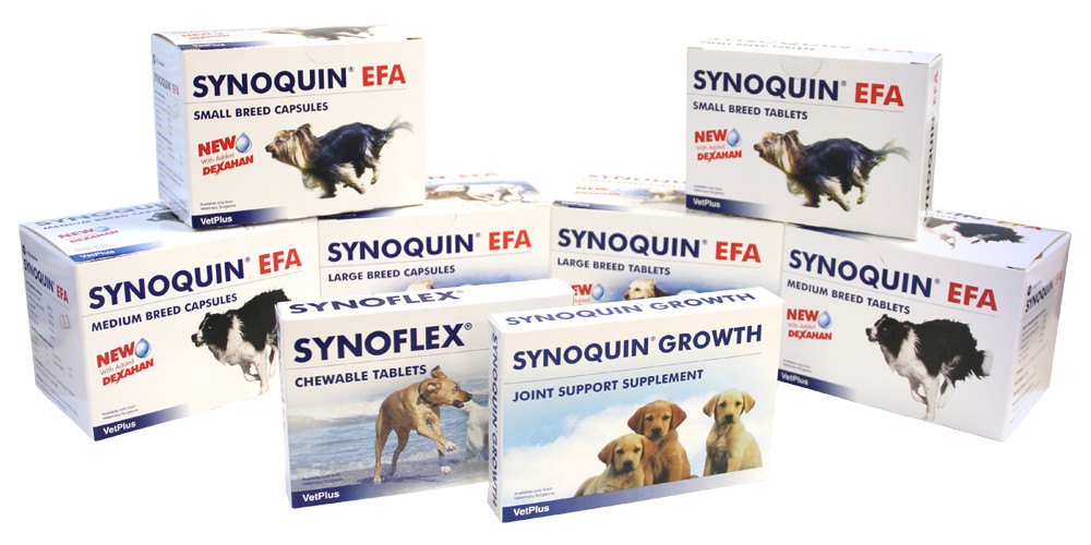 Synoquin EFA for All Breeds is a nutritional supplement to support joints in small dogs. - Pet Shop Luna