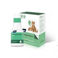 Viyo Recuperation Cat -150 ml - Pet Shop Luna