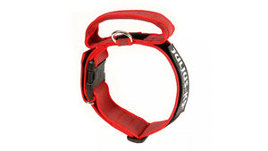 Julius K9 nylon collar with handle for dogs / Collare per cani - Pet Shop Luna